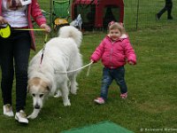AHHC - Clubschau 2016 - Kind und Hund